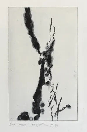 Ets En Aquatint Zao - Rompre le cri (374)