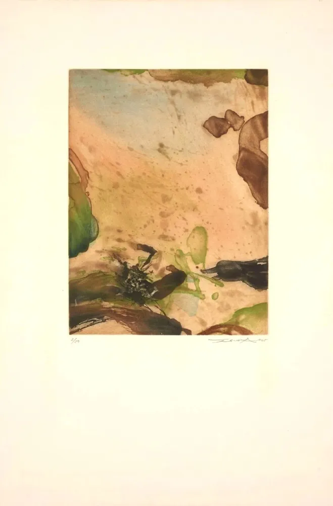Ets En Aquatint Zao - Sans Titre
