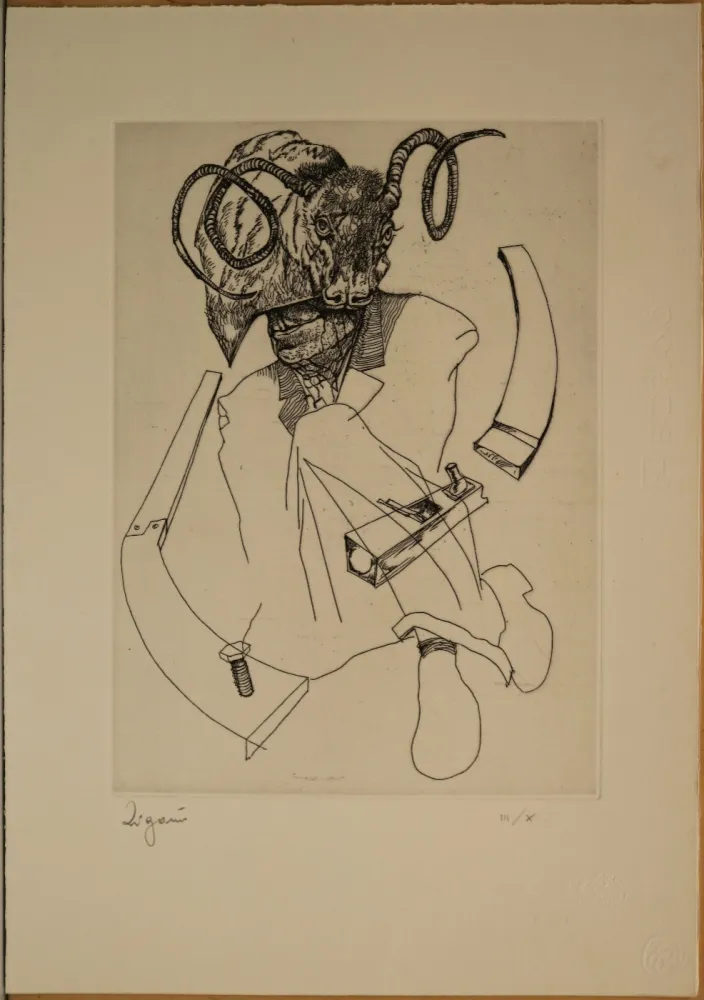 Ets Zigaina - Il mito