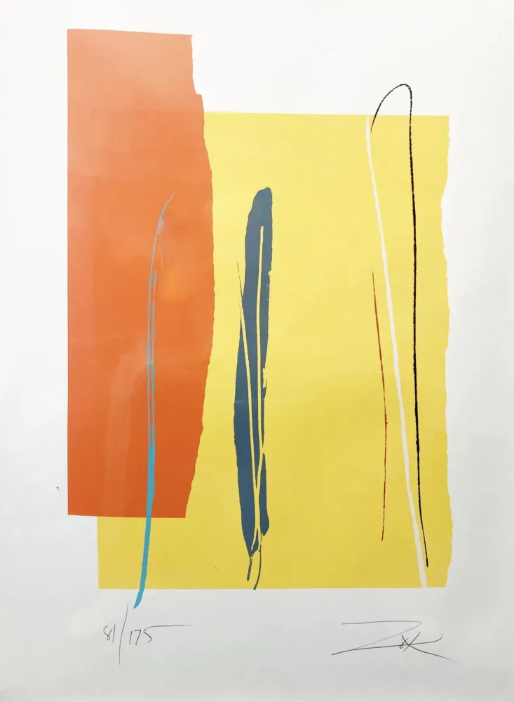 Linosnede Zox - Untitled 3 from Niagara Series