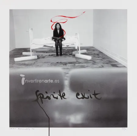 Zeefdruk Abramovic - Spirit exit