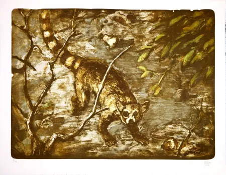 Lithografie Aceves Humana - Cacomitle