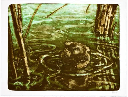 Lithografie Aceves Humana - Sans titre