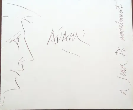 Geen Techniek Adami - Profile