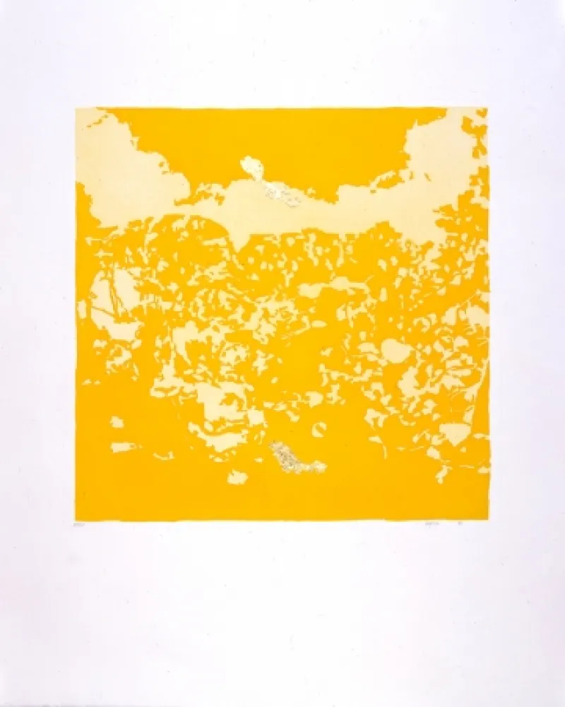 Aquatint Agosti - Orphée N°II