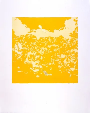 Aquatint Agosti - Orphée N°II