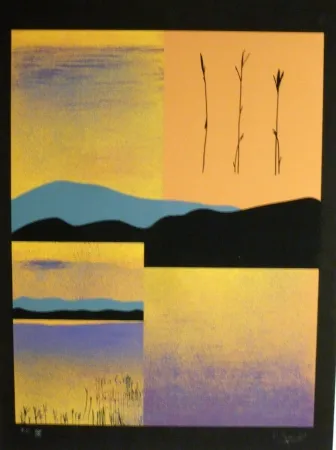 Zeefdruk Aguade - Analitica 1