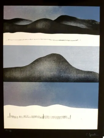 Zeefdruk Aguadé - Analitica 10