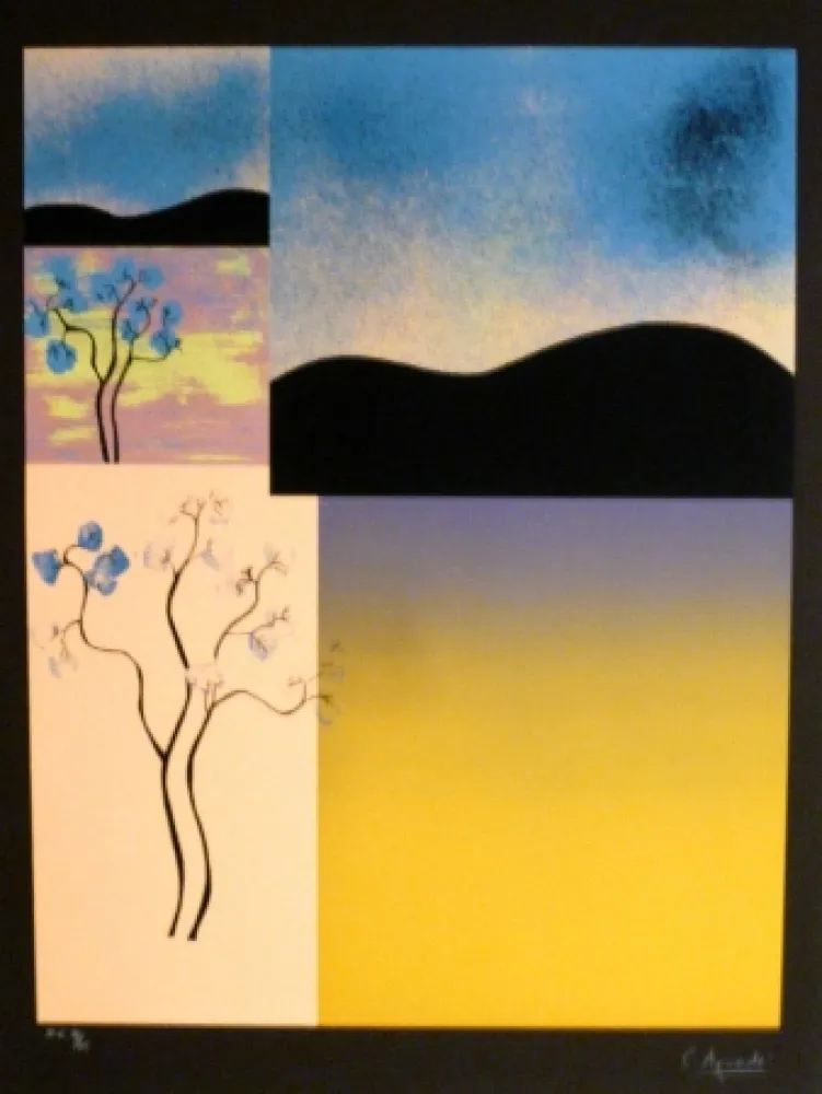 Zeefdruk Aguade - Analitica 2