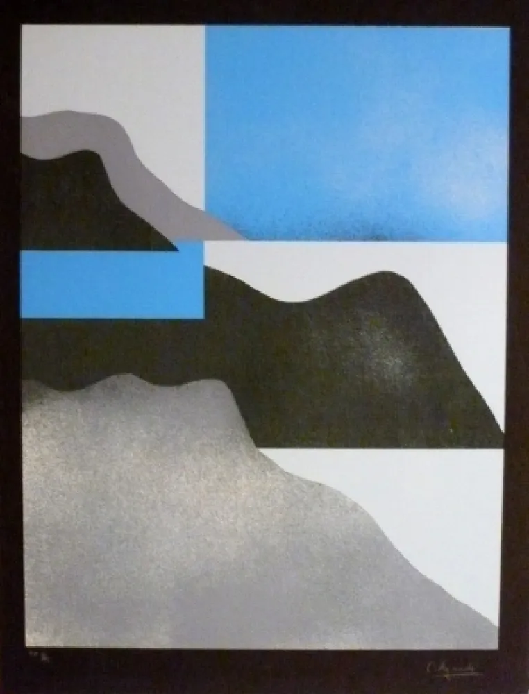 Zeefdruk Aguadé - Analitica 3