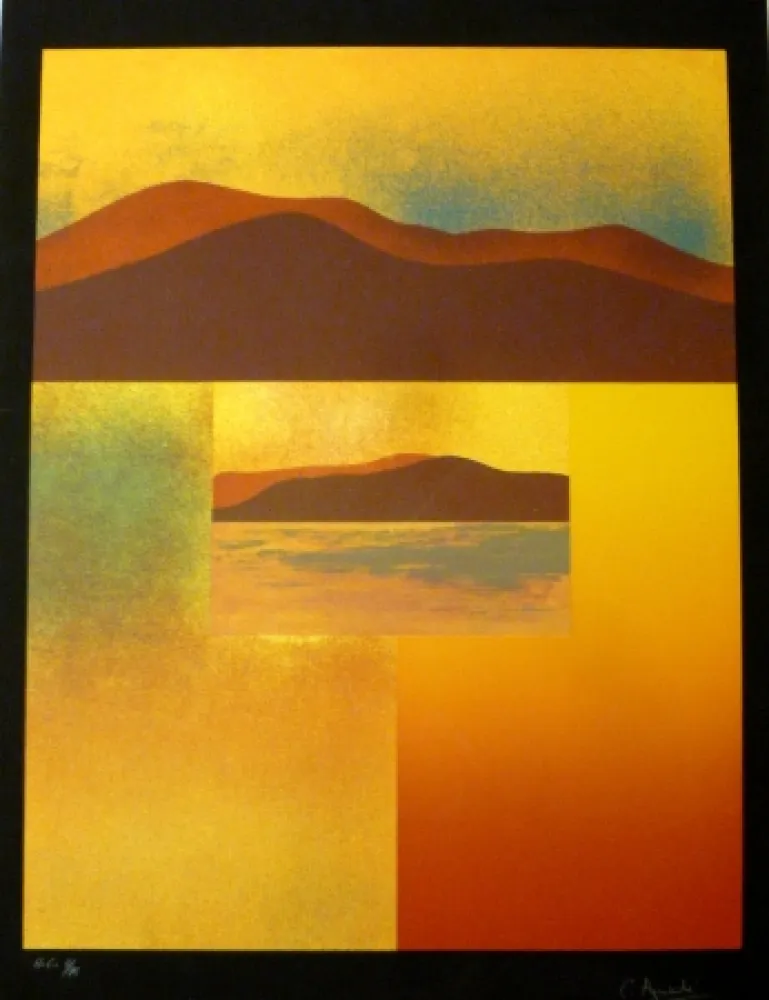 Zeefdruk Aguadé - Analitica 4