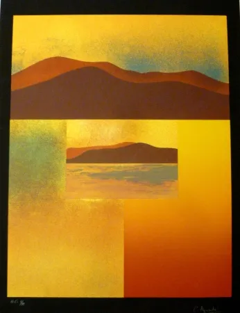 Zeefdruk Aguadé - Analitica 4