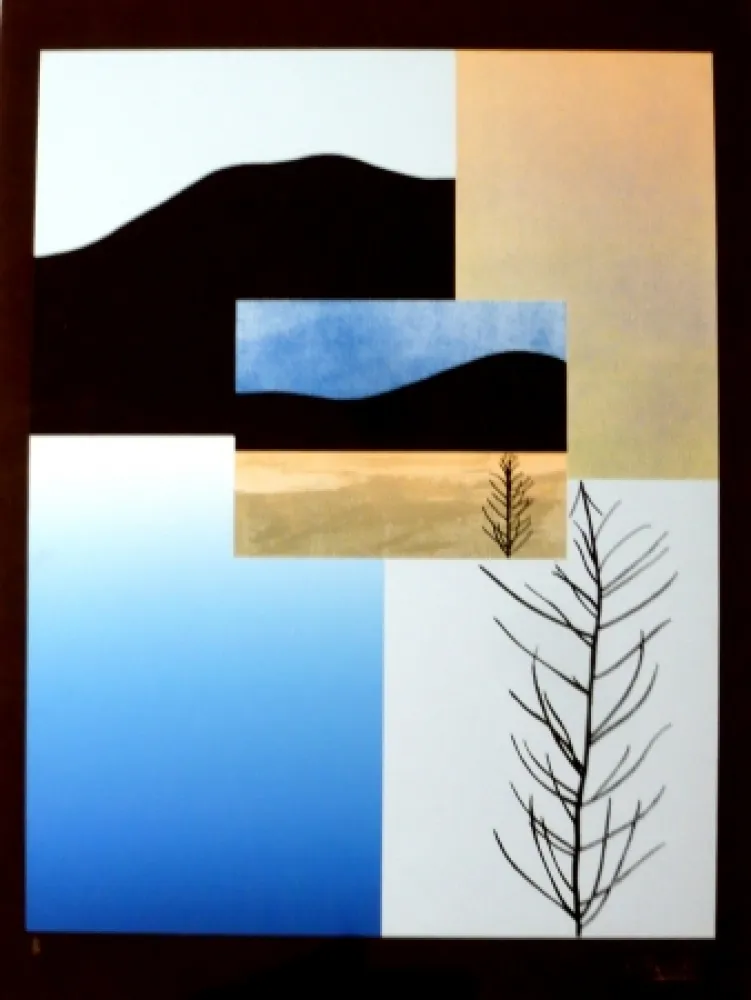 Zeefdruk Aguadé - Analitica 5