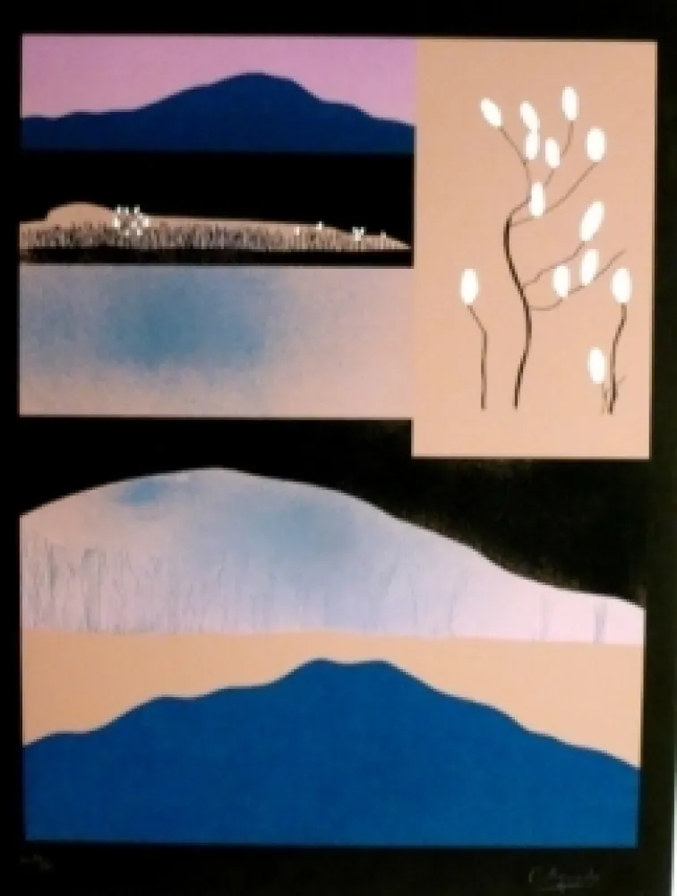 Zeefdruk Aguade - Analitica 6