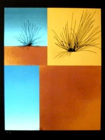 Zeefdruk Aguade - Analitica 7