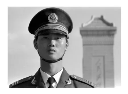 Geen Techniek Ai - Soldier on Sentry Duty