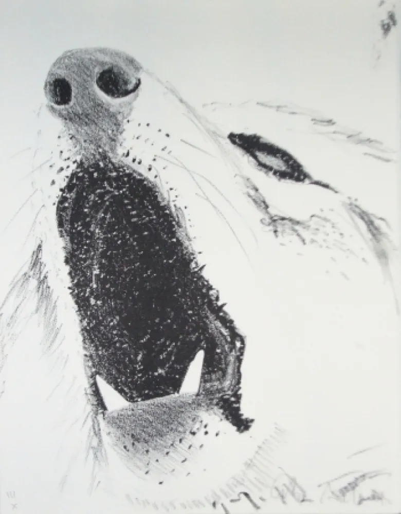 Geïllustreerd Boek Aillaud - L'Encyclopédie de tous les animaux - Tome III