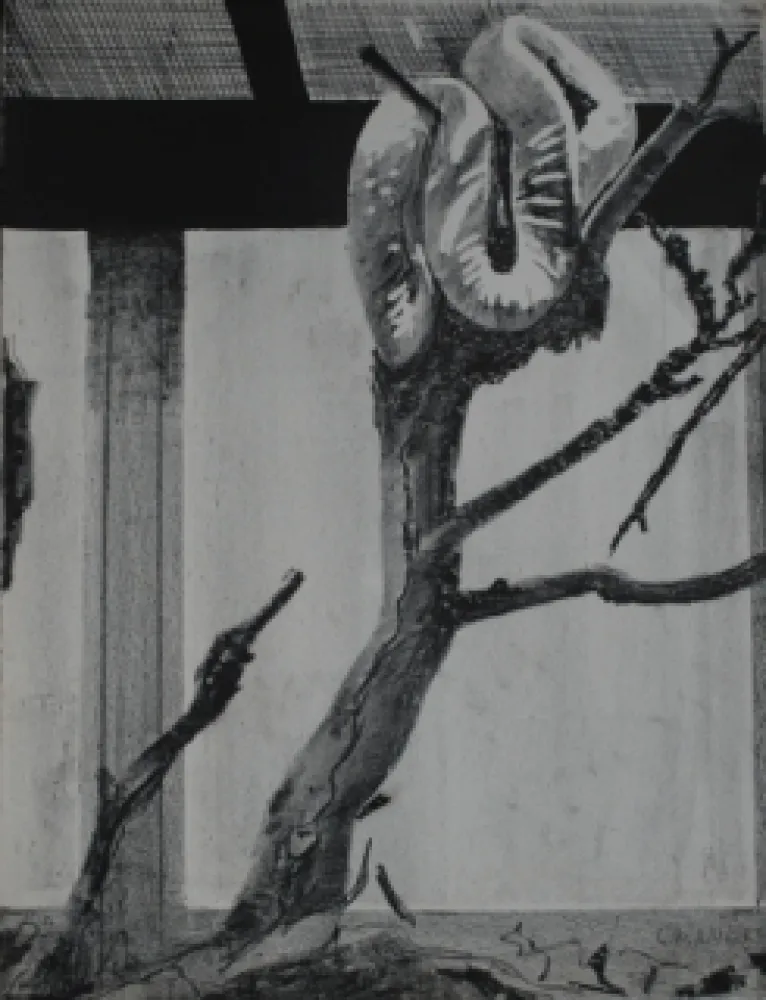 Lithografie Aillaud - Serpent