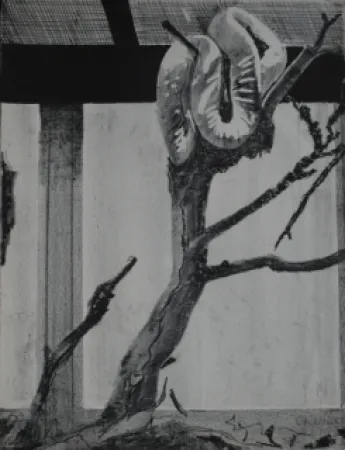 Lithografie Aillaud - Serpent