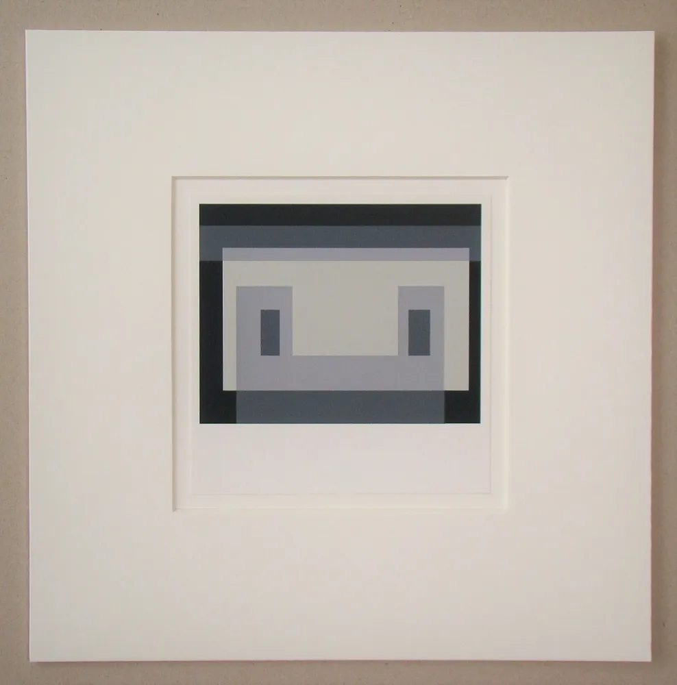 Zeefdruk Albers - Adobe