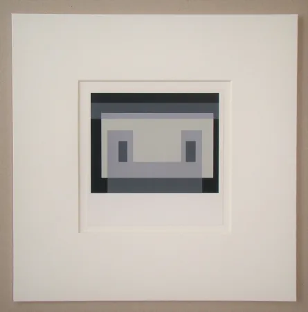 Zeefdruk Albers - Adobe