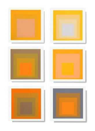 Zeefdruk Albers - Formulation: Articulation - Complete Portfolio
