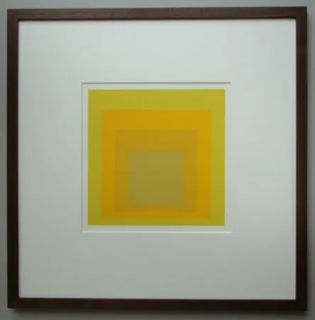 Geen Techniek Albers - Homage to the Square