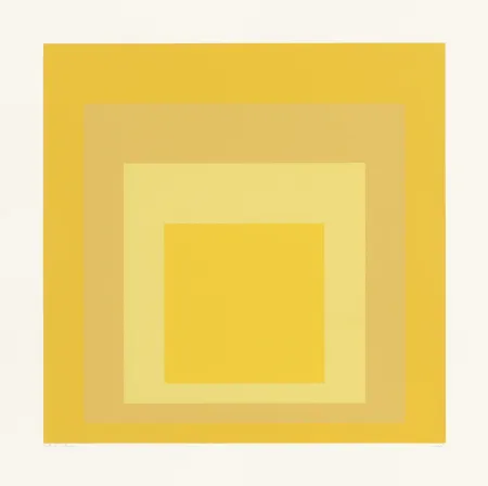 Zeefdruk Albers - SP X