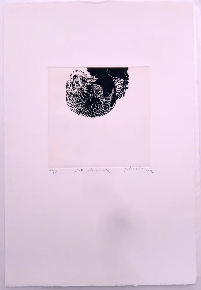 Ets Alcaraz - L'ull i la mirada