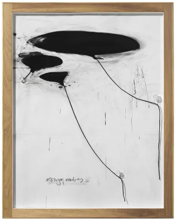 Geen Techniek Alcaraz - Sin titulo