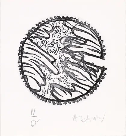 Ets En Aquatint Alechinsky - Chronique de la neige