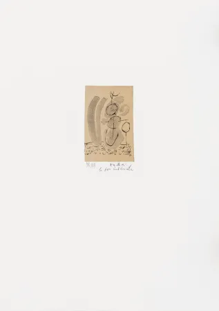 Lithografie Alechinsky - Expériences sans l'expérience 05