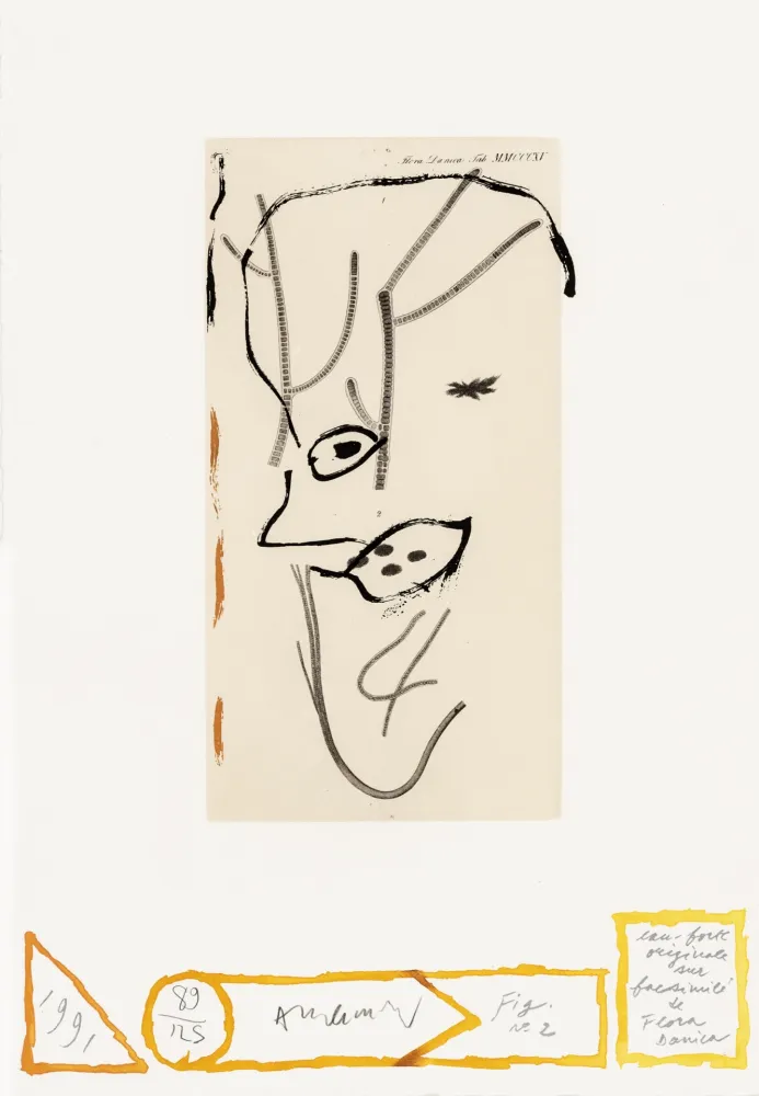 Ets Alechinsky - Flore danoise 02 - De Presque là