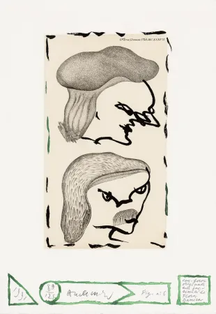 Ets Alechinsky - Flore danoise 06 - Naissance des masques