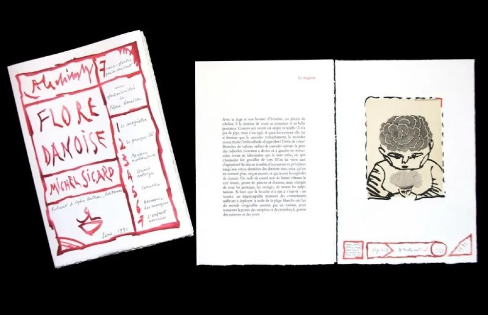 Geïllustreerd Boek Alechinsky - FLORE DANOISE