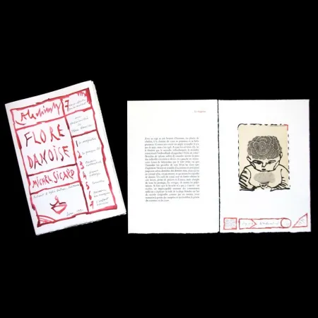 Geïllustreerd Boek Alechinsky - Flore danoise