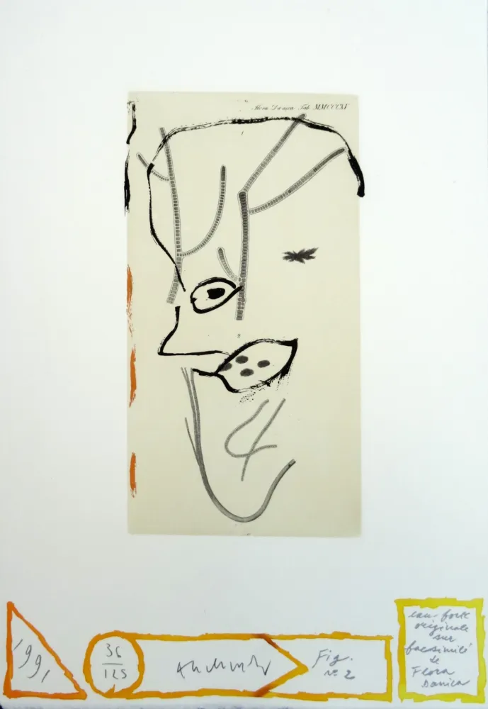 Ets Alechinsky - Flore danoise : De presque-là