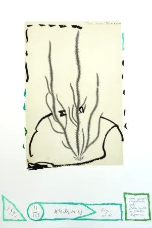 Ets Alechinsky - Flore danoise : Humus voltige