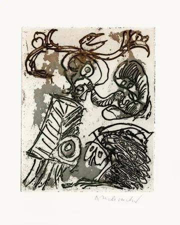 Geïllustreerd Boek Alechinsky - L'espace d'un doute