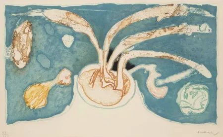 Ets En Aquatint Alechinsky - Volcan de nuit