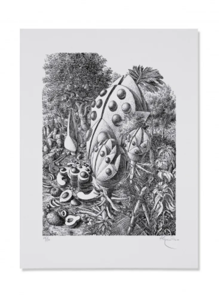 Lithografie Alejandro - Beetle Forest