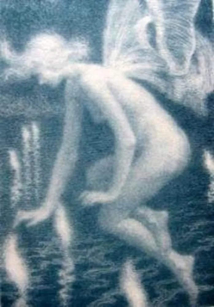 Lithografie Alleaume - Phalène et les feux follets