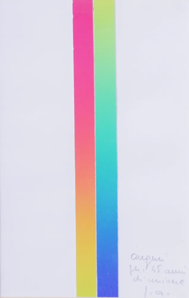 Lithografie Alviani - CROMIE SPETTROLOGICHE