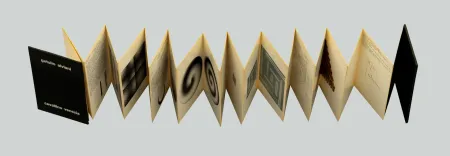 Zeefdruk Alviani - Programmazioni plastiche