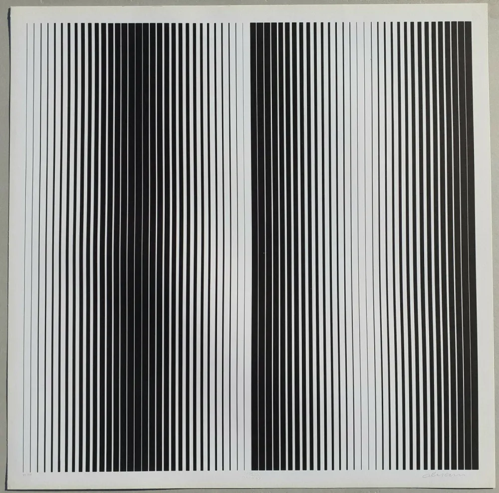 Zeefdruk Alviani - Senza titolo