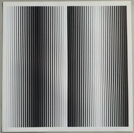 Zeefdruk Alviani - Senza titolo