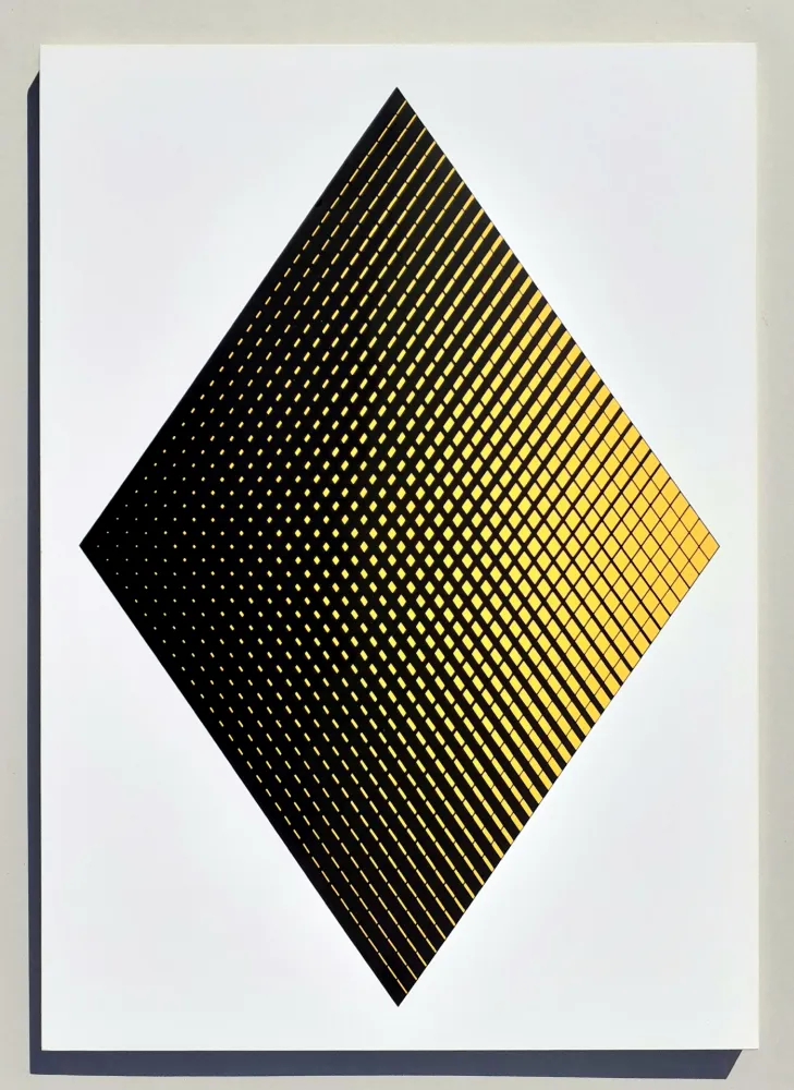 Zeefdruk Alviani - Senza titolo