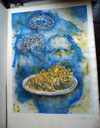 Geïllustreerd Boek Amat - La Ventada del somni