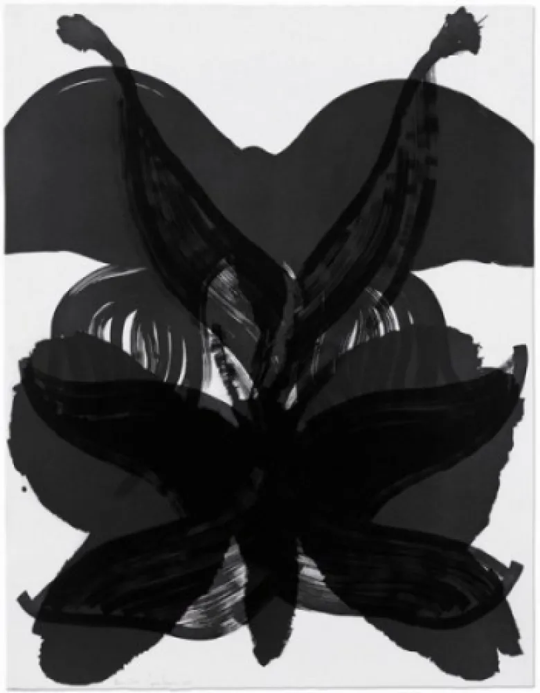 Ets Amorales - Mod. 2