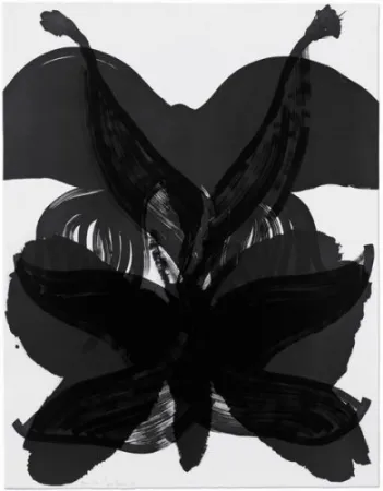 Ets Amorales - Mod. 2